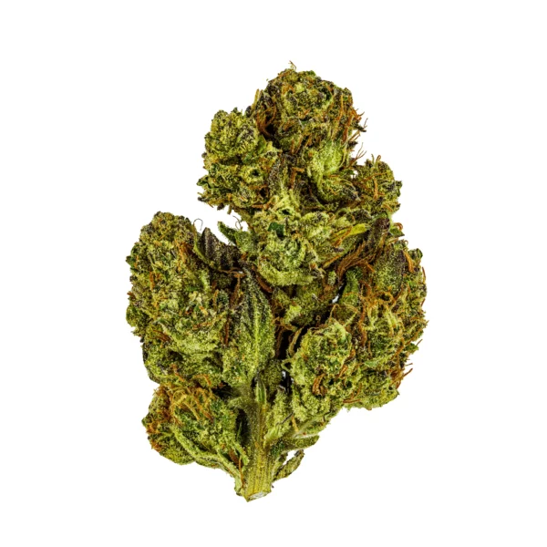 supersonic-thca-bud-stacked-white-web-600x600